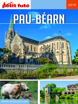 cover image of PAU–BEARN 2019 Petit Futé